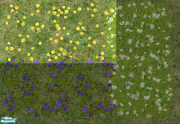 Sims 2 — Wild Spring Flowers - Coltsfoot by Bitzybus — Wild Spring Flowers - Coltsfoot.