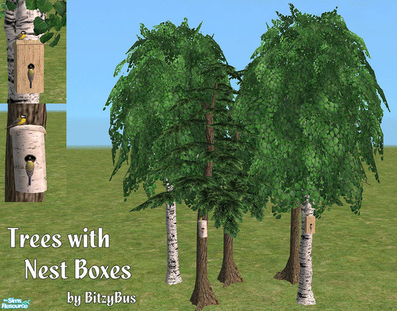 Sims 2 — Trees with Nest Boxes by Bitzybus — A big birch and a pine with nest boxes. The set also includes both trees
