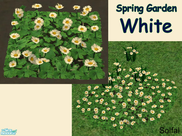 Sims 2 — Spring Garden White by solfal — New colours for my Swedish flowers. Workes like Maxis flowers. Use them together