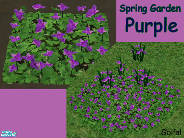 Sims 2 — Spring Garden Purple by solfal — New colours for my Swedish flowers. Workes like Maxis flowers. Use them