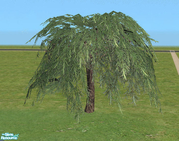 Sims 2 — Jurassica - Hanging Tree by Bitzybus — Tree. Catalog placement: buildmode/trees Vertices: 632 Polygons: 607