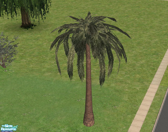 Sims 2 — Jurassica - Palm Tree by Bitzybus — Big Palm Tree. Catalog placement: buildmode/trees Vertices: 1538 Polygons: