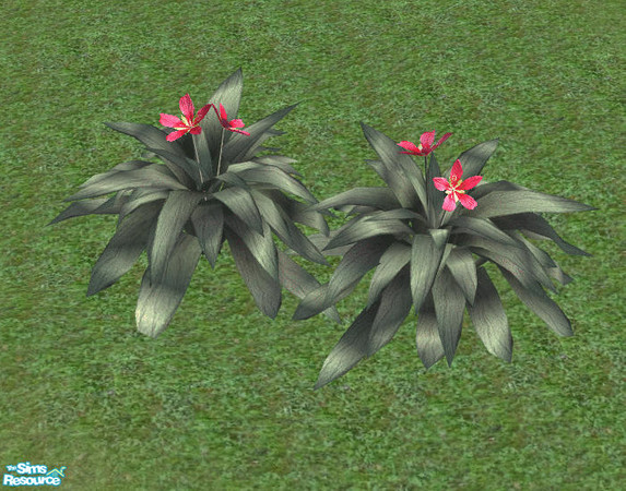 Sims 2 — Jurassica - Flower Shrub by Bitzybus — Decorative shrub, no trimming needed. Catalog placement: buildmode/shrubs