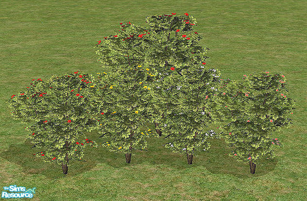 Sims 2 — Small Hibiscus Tree Mesh by chrissy6930 — Smaller version of the Hibiscus tree. Uses all the colors of that tree
