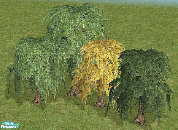 Sims 2 — Small Willow Tree Mesh by chrissy6930 — Smaller version of the Willow tree. Uses all the colors of that tree and