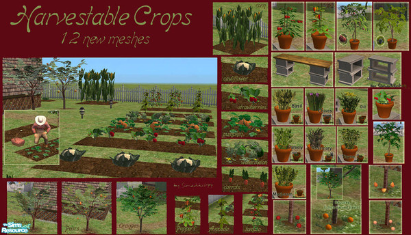 Sims 2 — Harvestable Crops Super Set by Simaddict99 — Huge collection of harvestable crops for your sims. Includes trees,