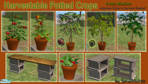 Sims 2 — Harvestable Potted Crops by Simaddict99 — Do you have a hobbie gardener with no yard space for crops? Then this