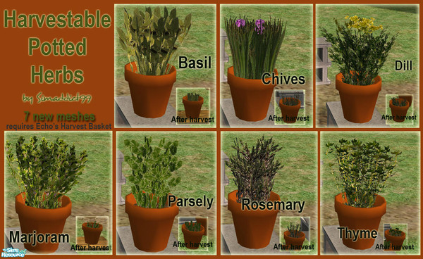 Sims 2 — Harvestable Potted Herbs by Simaddict99 — Do you have a hobbie farmer, chef extraordinaire, medieval or pagan