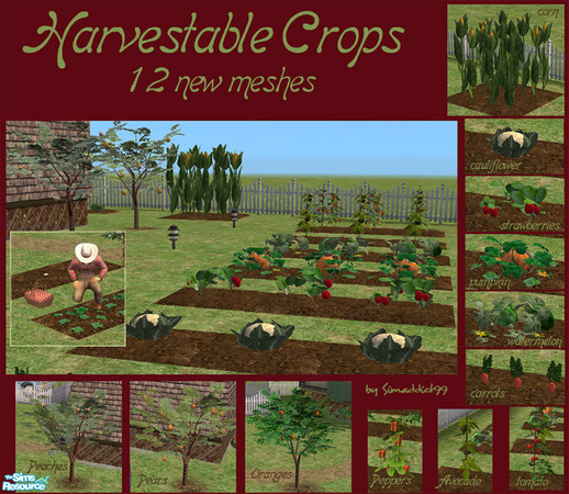 Sims 2 — Harvestable Crops by Simaddict99 — Calling all gardeners, farmers and medieval sims! 12 new meshes, of
