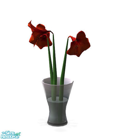 Sims 2 — Key Largo  - Amaryllis by Sasilia — 