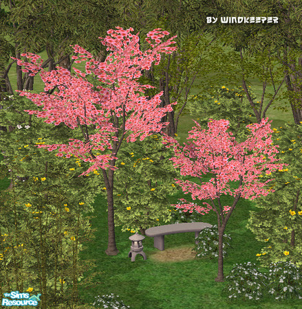 Sims 2 — Vivid blossom tree by Windkeeper — Recolor of Japanese maple tree from the game. Will also work for small
