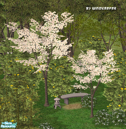 Sims 2 — White blossom tree by Windkeeper — Recolor of Japanese maple tree from the game. Will also work for small