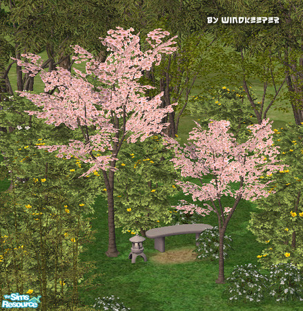 Sims 2 — Cherry blossom tree by Windkeeper — Recolor of Japanese maple tree from the game. Will also work for small