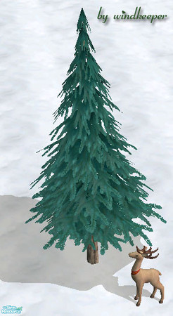 Sims 2 — Blue pine tree by Windkeeper — Recolor of Maxis pine tree. Will also work for small pine trees included in this