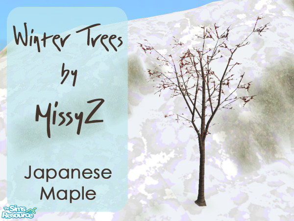 Sims 2 — Winter Trees - Japanese Maple by MissyZ — Perfect for decorating your Snowy Lots, this set includes a