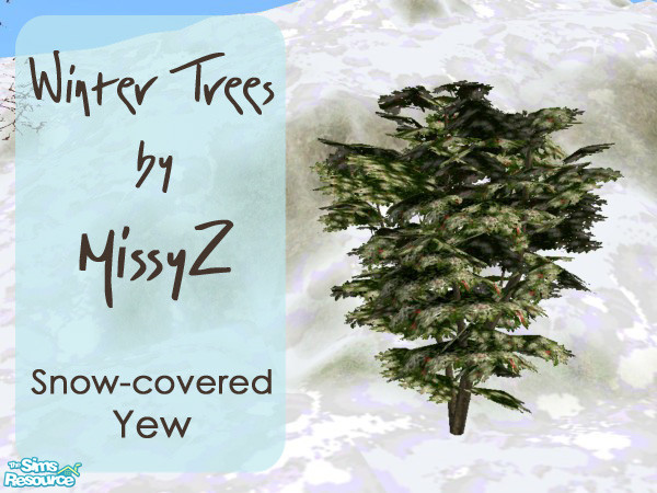 Sims 2 — Winter Trees - Yew (Snow) by MissyZ — Perfect for decorating your Snowy Lots, this set includes a snow-covered