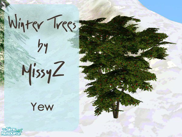 Sims 2 — Winter Trees - Yew by MissyZ — Perfect for decorating your Snowy Lots, this set includes a snow-covered Pine, a
