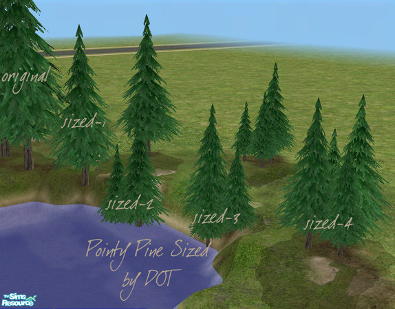 Sims 2 — Pointy Pine Tree Sized2 MESH by DOT — Pointy Pine Tree Sized2 MESH Pointy Pine 2 Trees Down Sized *THIS IS THE