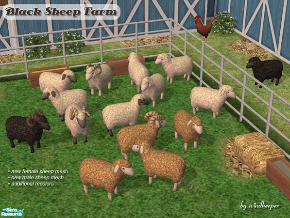 Sims 2 — Black Sheep Farm by Windkeeper — *Jun 17/06 updated to remove shine* Black Sheep Farm is a very succesful