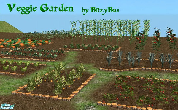 Sims 2 — Veggie Garden by Bitzybus — Veggies for the garden. The set also includes matching soil groundcover. **TSRAA