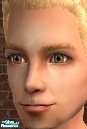 Sims 2 — Default Replacments-MsBarrows Sensible-Med - Brown by deagh — This is a default replacement for the Maxis Brown