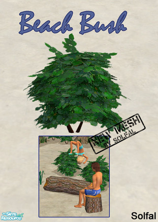 Sims 2 — Beach Bush by solfal — A little larger bush without flowers