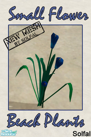 Sims 2 — Beach Plants Small Flower by solfal — Make your beach look more realistic