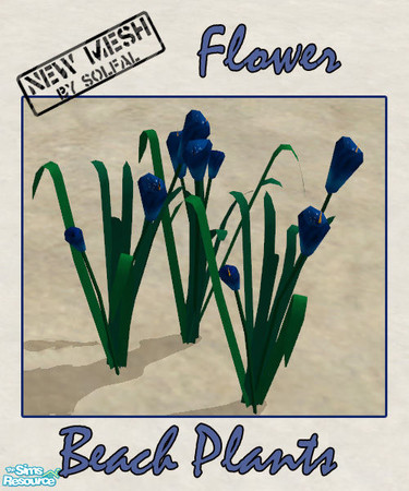 Sims 2 — Beach Plants Flower by solfal — Make your beach look more realistic