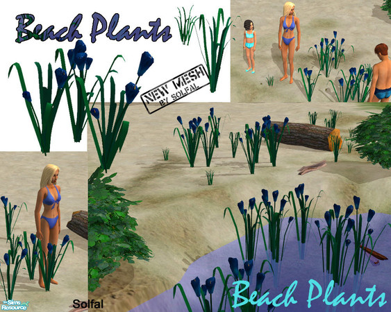 Sims 2 — Beach Plants by solfal — 1 water flower, two grass and two flowers. (you can download my uppdated bikini if you