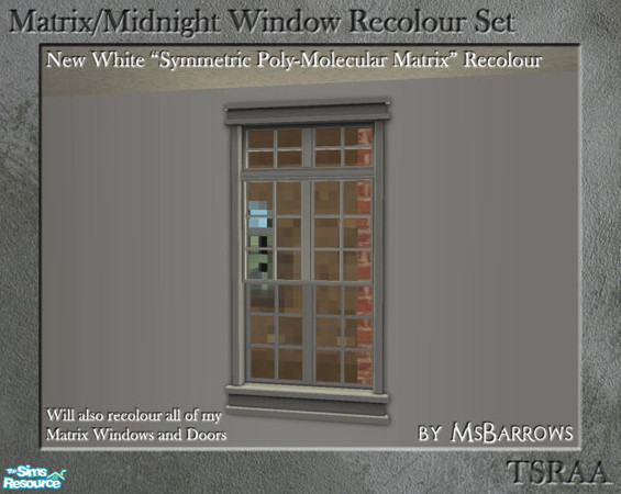 Sims 2 — Matrix Window Recolour - New White by MsBarrows — Recolour of the \'Symmetric Poly-Molecular Matrix\' window in