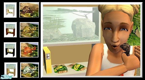 Sims 2 — Ball Python Pet Set by SaeraMaples — This cute little mini python is a fun and playful pet!