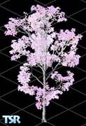 Sims 1 — Birch Tree by Can Poyrazoglu — Birch trees look best when planted in groups of three but their delicate leaves