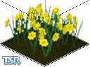 Sims 1 — Everlasting Daffodils by Willie Wonka — Straight from the factory of Willie Wonka, we bring you the Everlasting