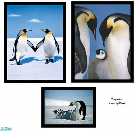 Sims 2 — Penguins by mom_of2boyz — These are some really cute penguin pictures. Penguin Love and Penguin 3 are recolors