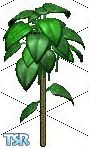 Sims 1 — Birch Tree by StrifeNet7 — So beautiful, it almost looks like rubber! Goes well with potted plants, shrubs, and