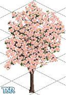 Sims 1 — Cherry Tree by edepillim — Plant rows and rows of this pink blossom cherry tree and celebrate Sakura in your Sim
