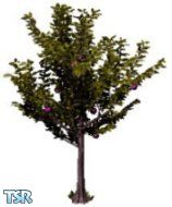 Sims 1 — Expensos Ever Fall Apple by Brian Keeley — An apple tree in the ever-fall line? How will you make the apples